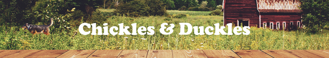 Chickles & Duckles